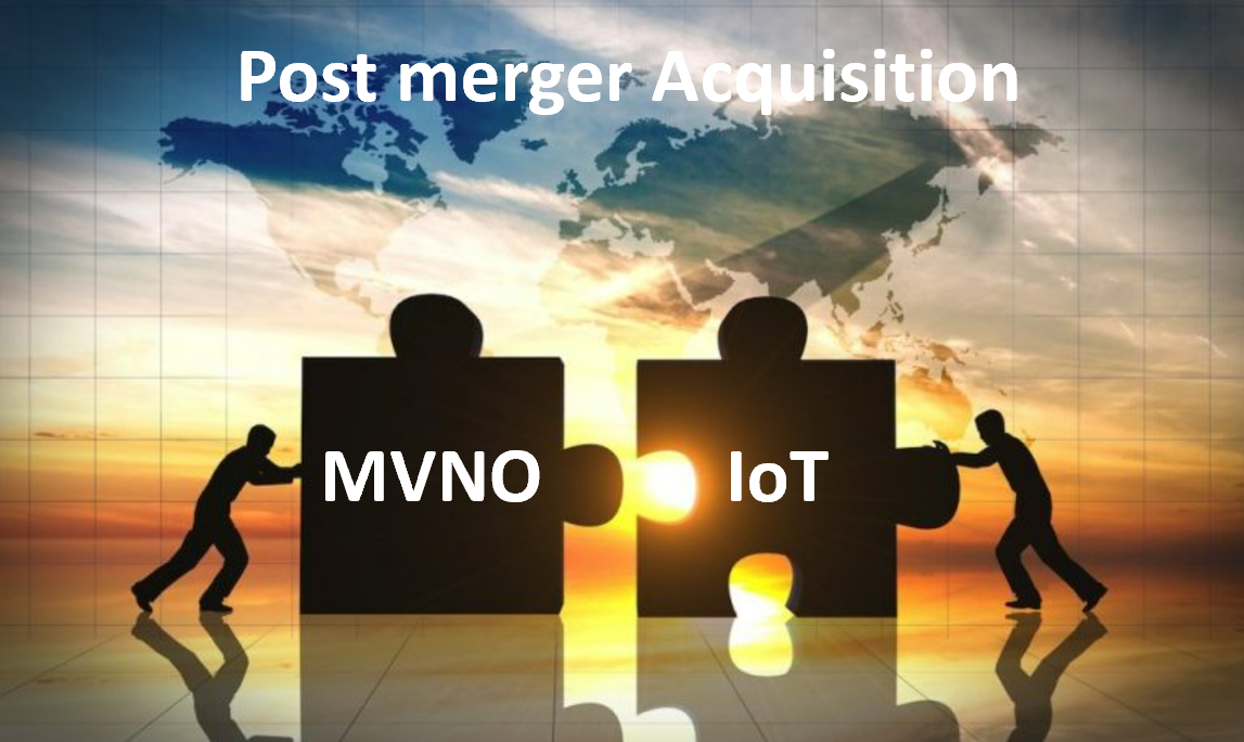 Post Merger Acquisition | Penon Partners | Atlanta, GA