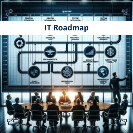 IT Roadmap for a Logistics and Software Services Company